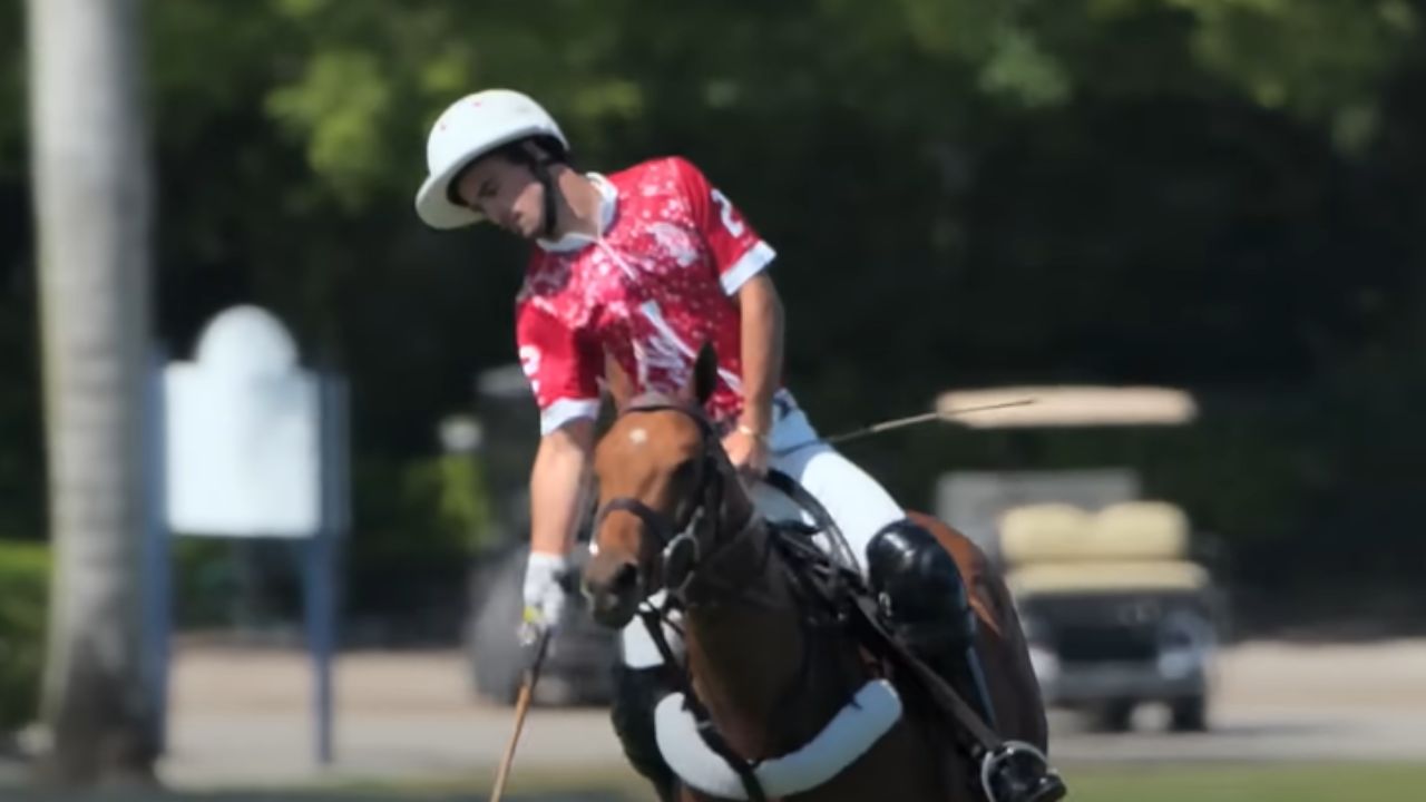 Polo (via YouTube/Netflix)