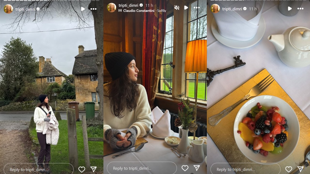 Picture Courtesy: Triptii Dimri Instagram