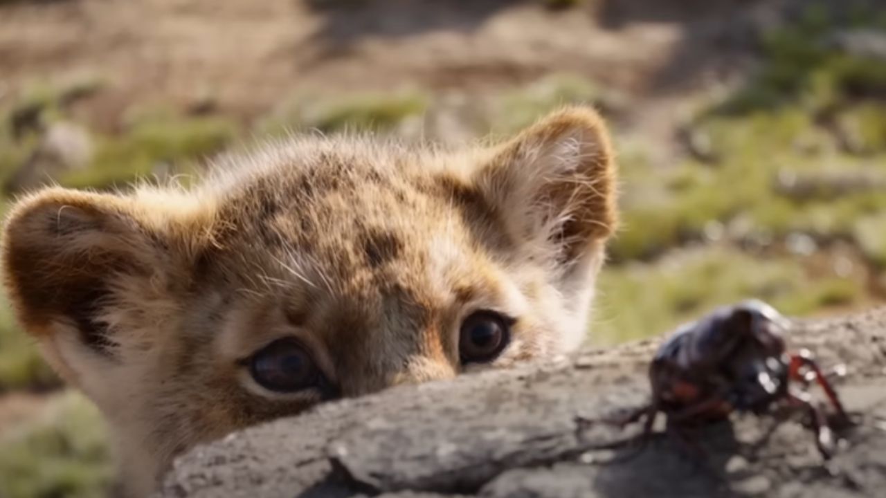 The Lion King (via YouTube)