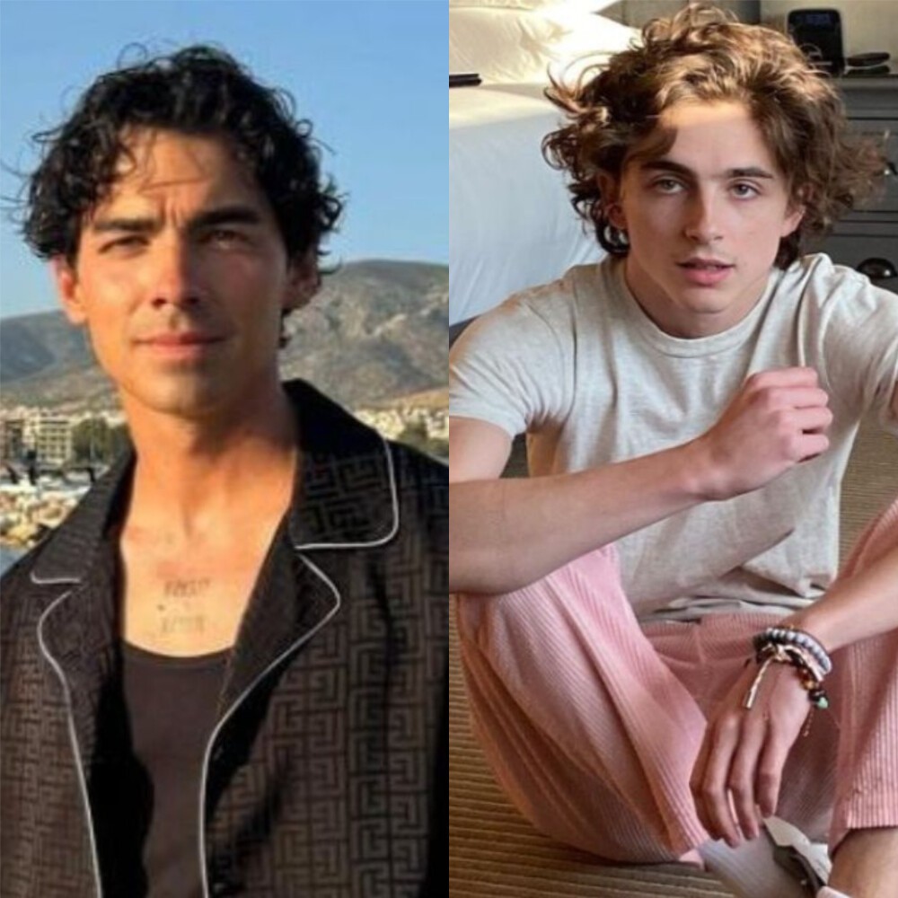 Why Did Timothée Chalamet Ghost Joe Jonas After He Sent The Actor A Selfie? The Singer ... Why Did Timothée Chalamet Ghost Joe Jonas After He Sent The Actor A Selfie? The Singer ...