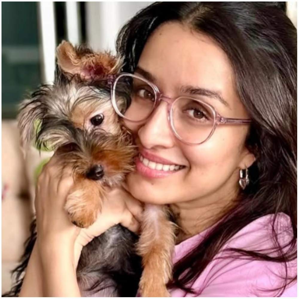 Shraddha Kapoor's cute moment with furry friend Small has Shah Rukh Khan and Kajol's Ku... Shraddha Kapoor's cute moment with furry friend Small has Shah Rukh Khan and Kajol's Ku...
