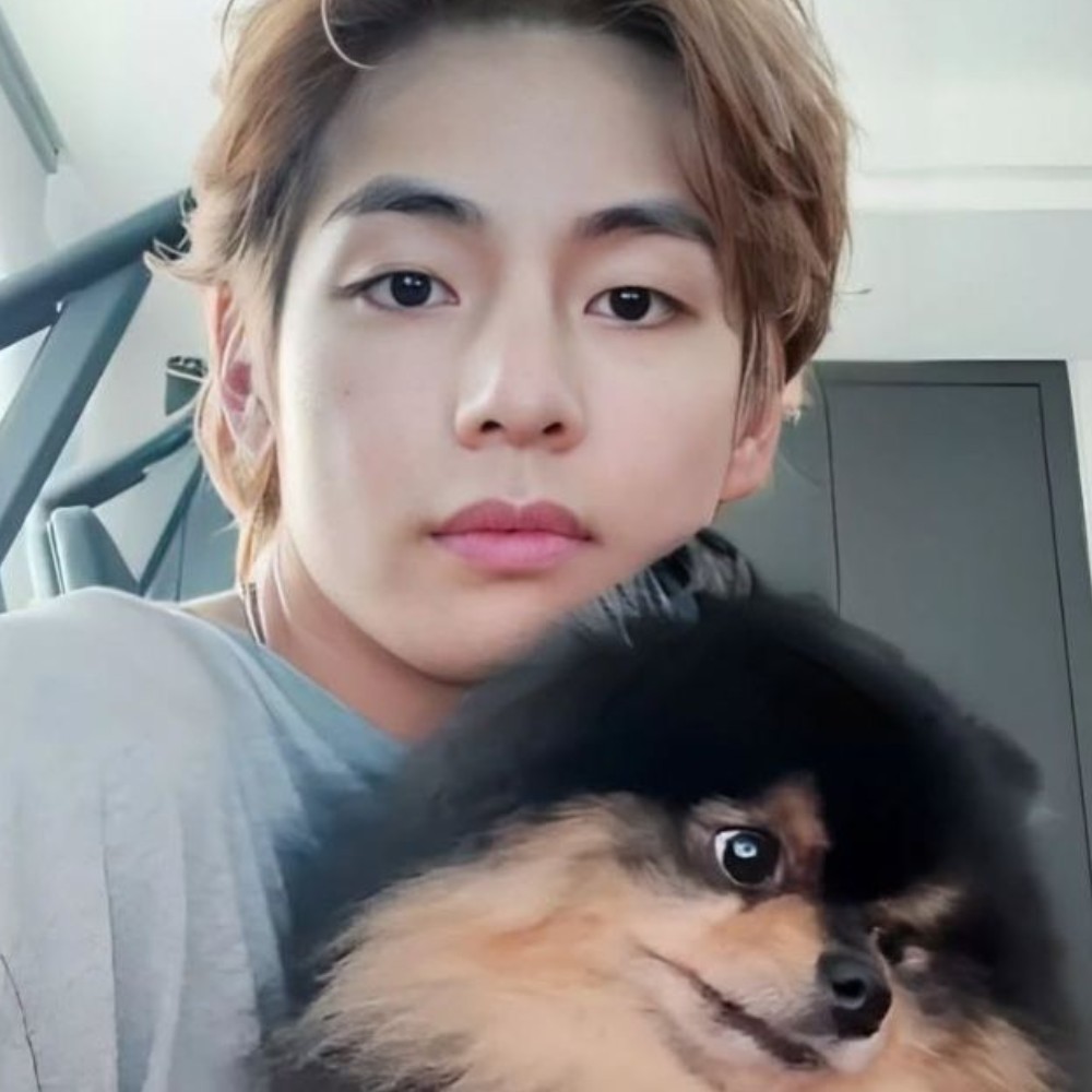 BTS’ V’s pet dog Yeontan passes away; singer commemorates with old videos, pens heart-b... BTS’ V’s pet dog Yeontan passes away; singer commemorates with old videos, pens heart-b...