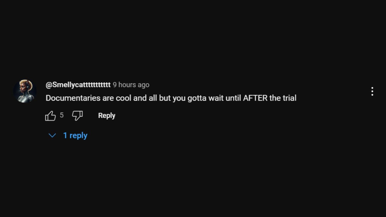 A comment on the trailer (via YouTube)