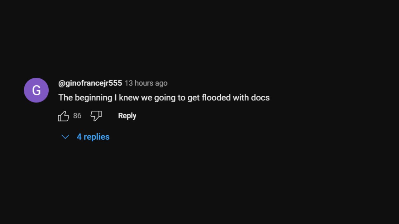 A comment on the trailer (via YouTube)