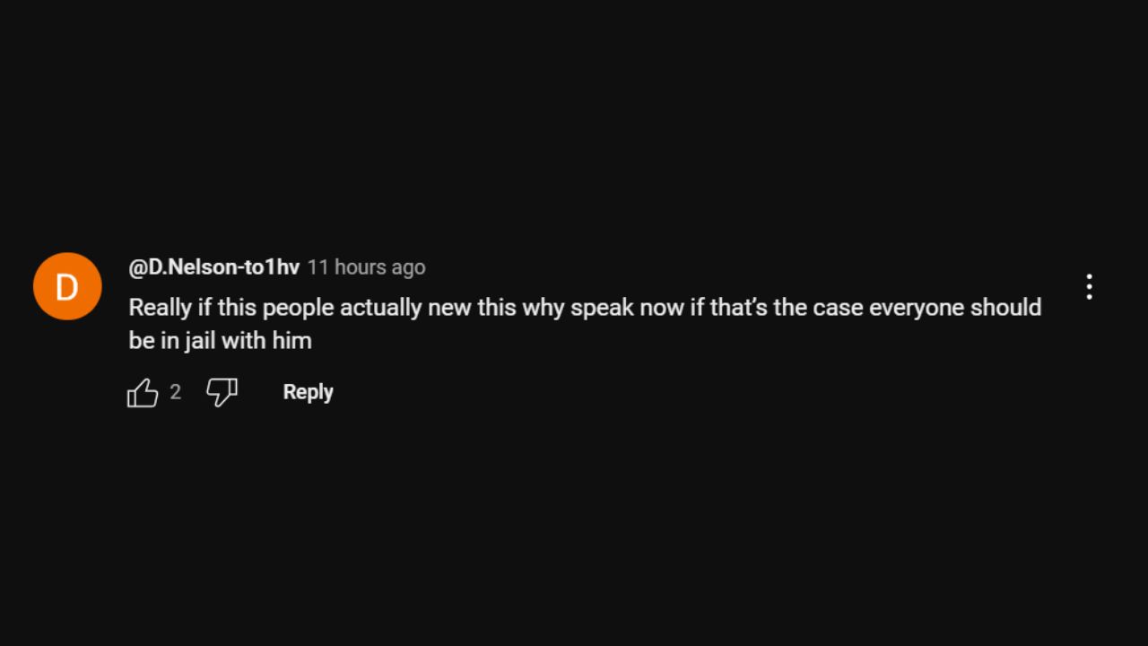 A comment on the trailer (via YouTube)