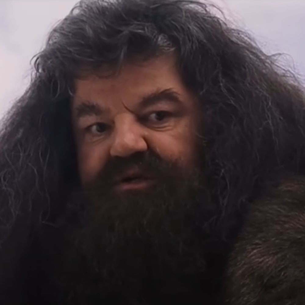 Who Will Play Hagrid in Harry Potter Series? THIS New Actor To Play Big Role Originally Portrayed by Robbie Coltrane