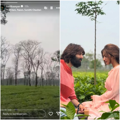 Pic Courtesy: Kartik Aaryan Instagram