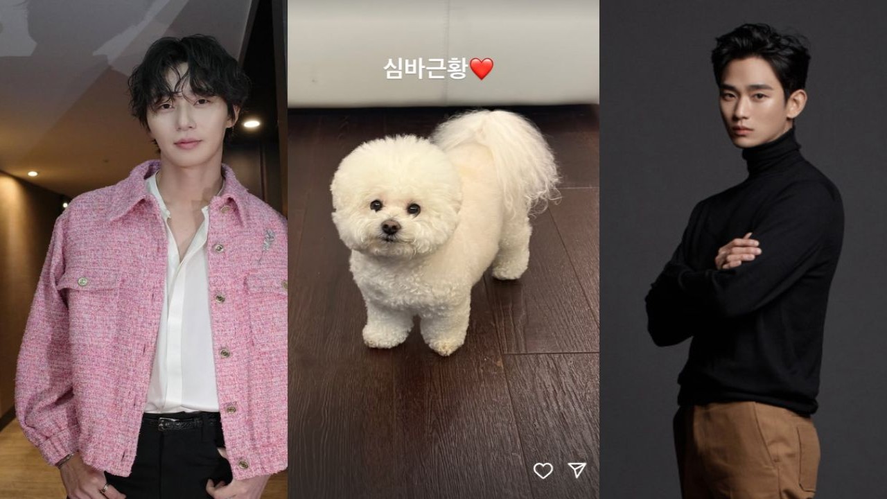 Park Seo Joon, Simba, Kim Soo Hyun: Credits: Park Seo Joon's Instagram, GOLDMEDALIST Park Seo Joon, Simba, Kim Soo Hyun: Credits: Park Seo Joon's Instagram, GOLDMEDALIST
