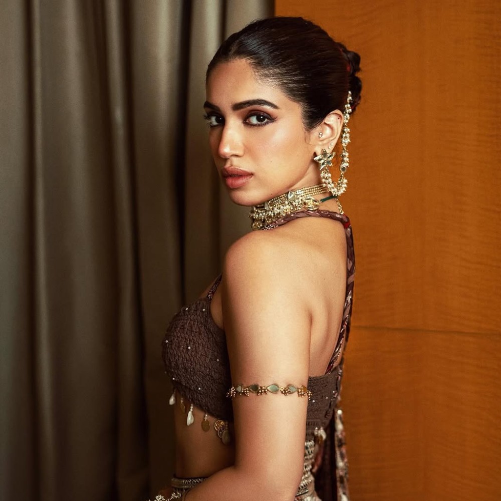 The Royals: Bhumi Pednekar and Ishaan Khatter react to audience losing interest in romantic genre; ‘In the midst of all the testosterone...'