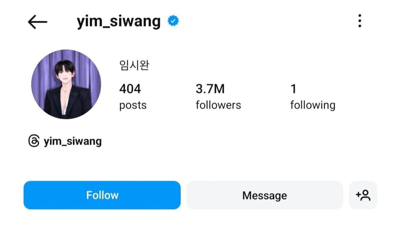 Instagram profile