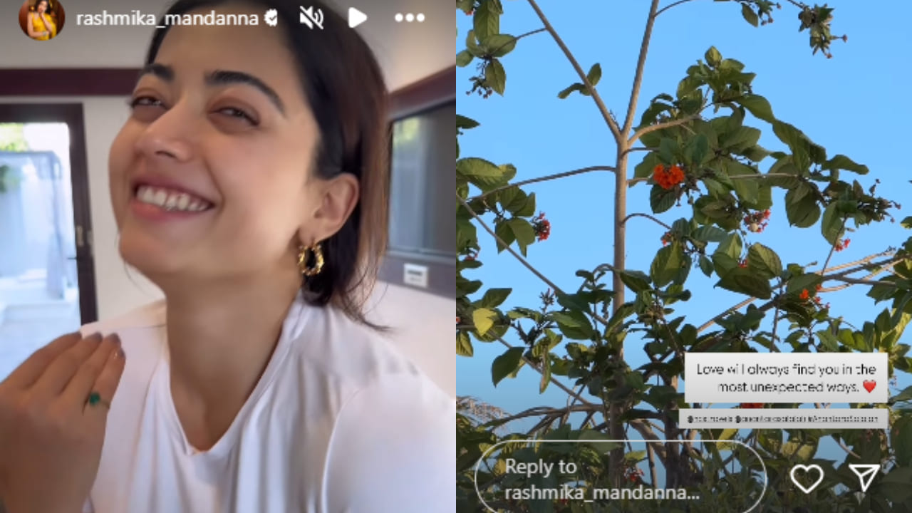 Rashmika on IG