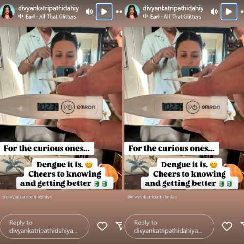 Picture Courtesy: Divyanka Tripathi Instagram story