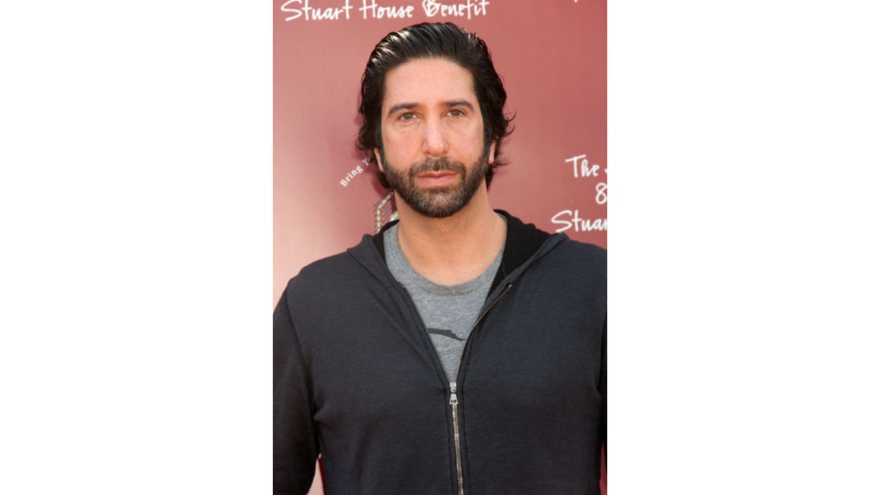 David Schwimmer's Plastic Surgery
