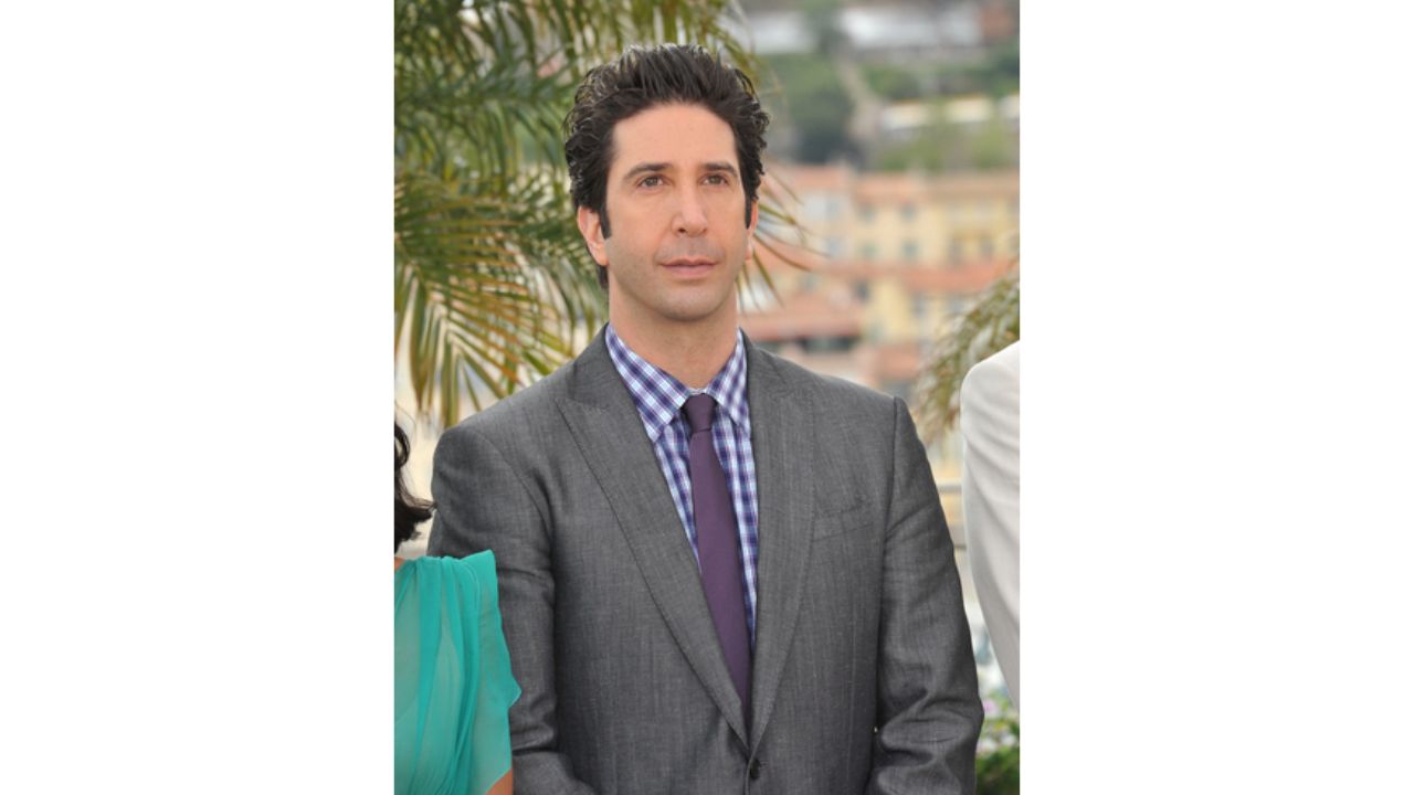 David Schwimmer's Plastic Surgery