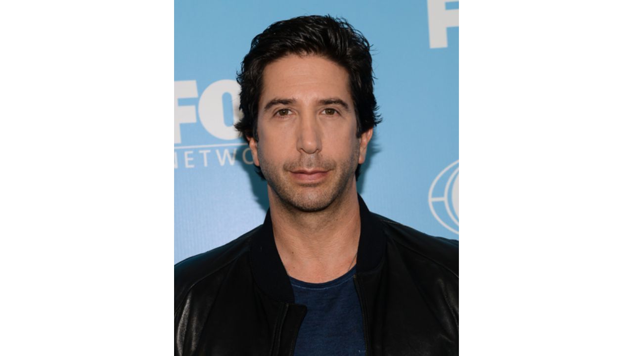 David Schwimmer's Plastic Surgery