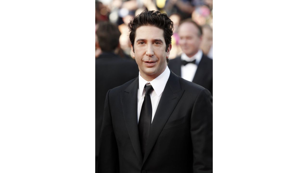 David Schwimmer's Plastic Surgery