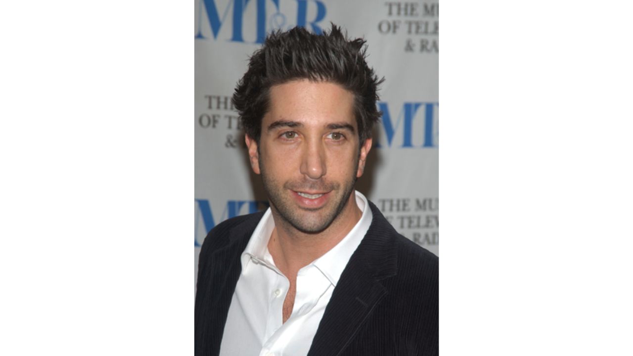 David Schwimmer's Plastic Surgery