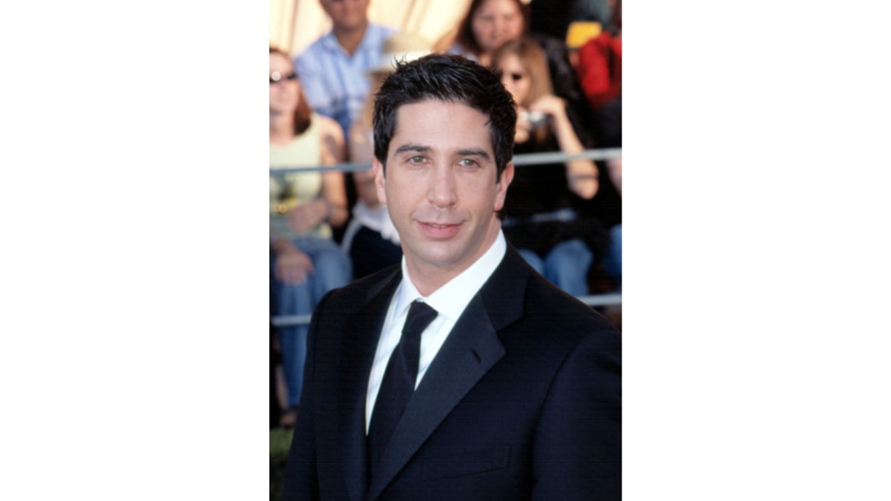 David Schwimmer's Plastic Surgery