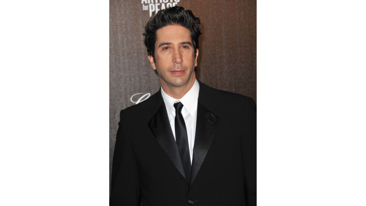 David Schwimmer's Plastic Surgery