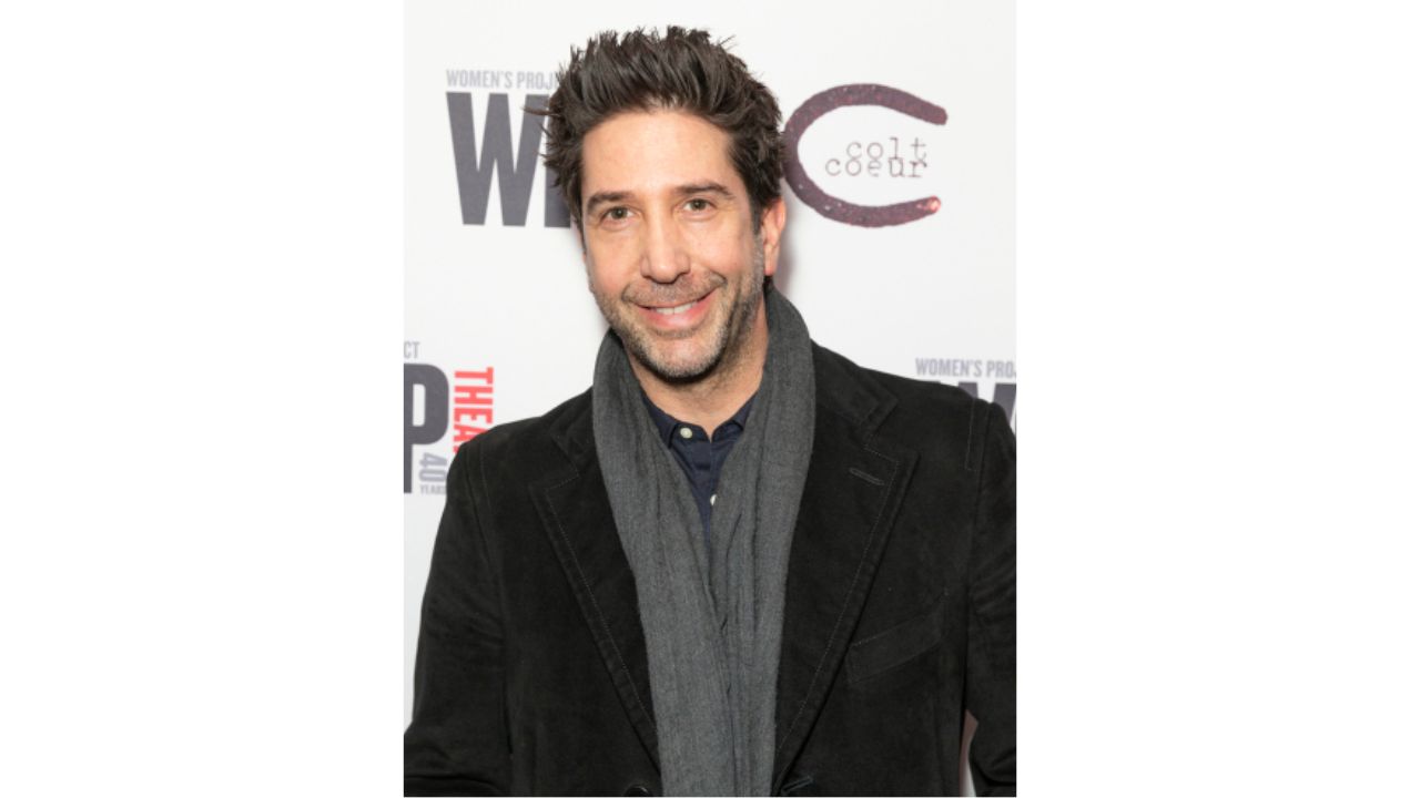 David Schwimmer's Plastic Surgery