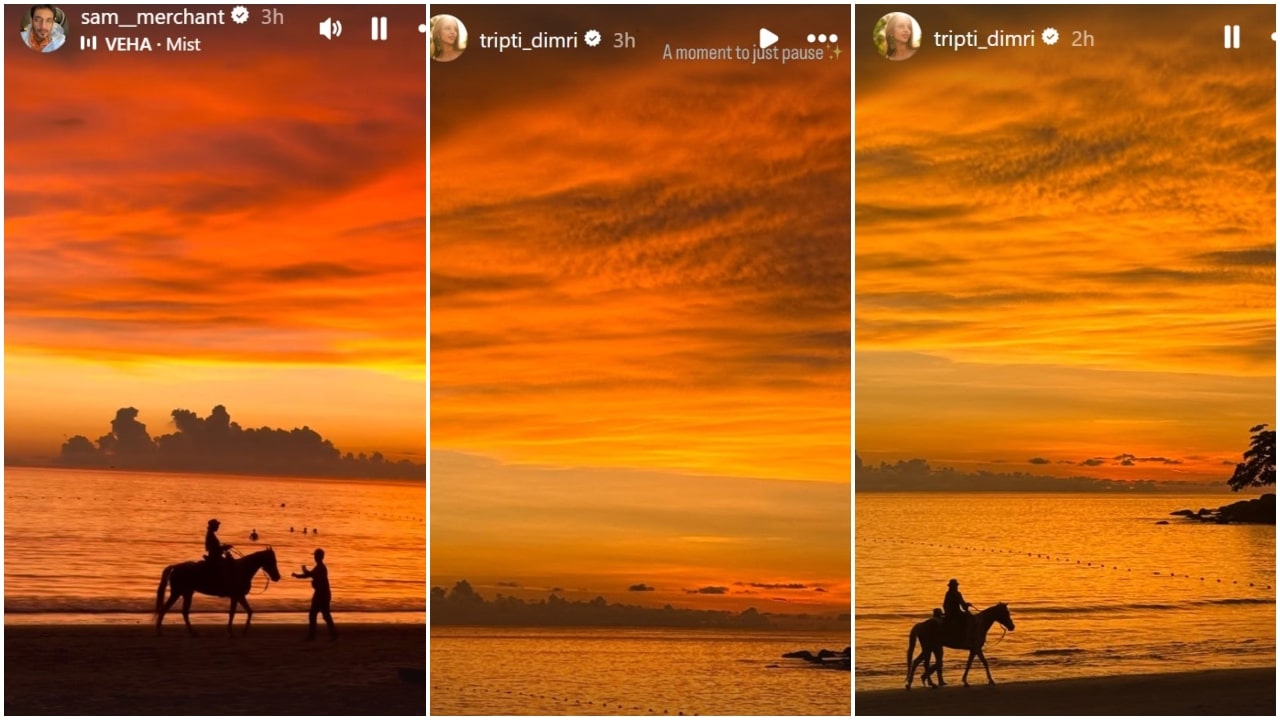 PC: Triptii Dimri, Sam Merchant/Instagram
