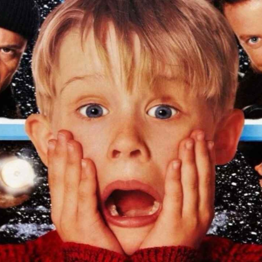 Home Alone 2 Director Wishes Donald Trump Cameo 'Would Be Gone' and Fears Deportation: 'It's Become This Curse...' 