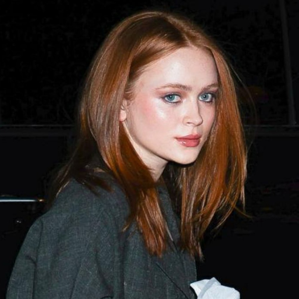Here's How Stranger Things Fam is Supporting Sadie Sink for Her Broadway Return With John Proctor's The Villain