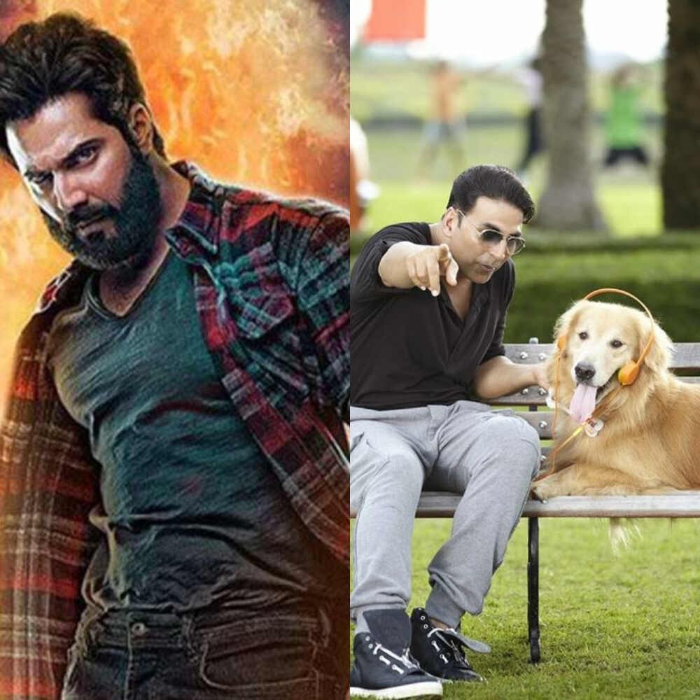 Box Office: As Kartik Aaryan's Naagzilla gets announced, analyzing collections of 3 Hindi films centred around animals