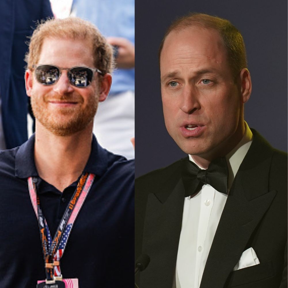 Prince Harry and Prince William Tried to STOP King Charles from Marrying Camilla; Former Claims Princess Diana Connection