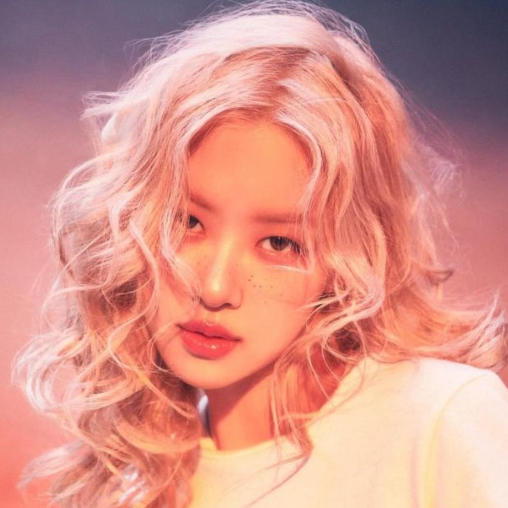 BLACKPINK's Rosé reacts to Rihanna’s hug and handshake at 2021 Met Gala: 'I didn’t want to wash my hands'