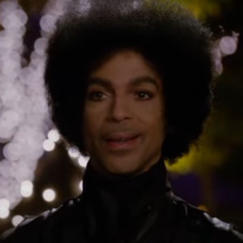 Best TV Cameos of the Last Decade: From Prince in New Girl to Joe Biden in Parks And Recreation