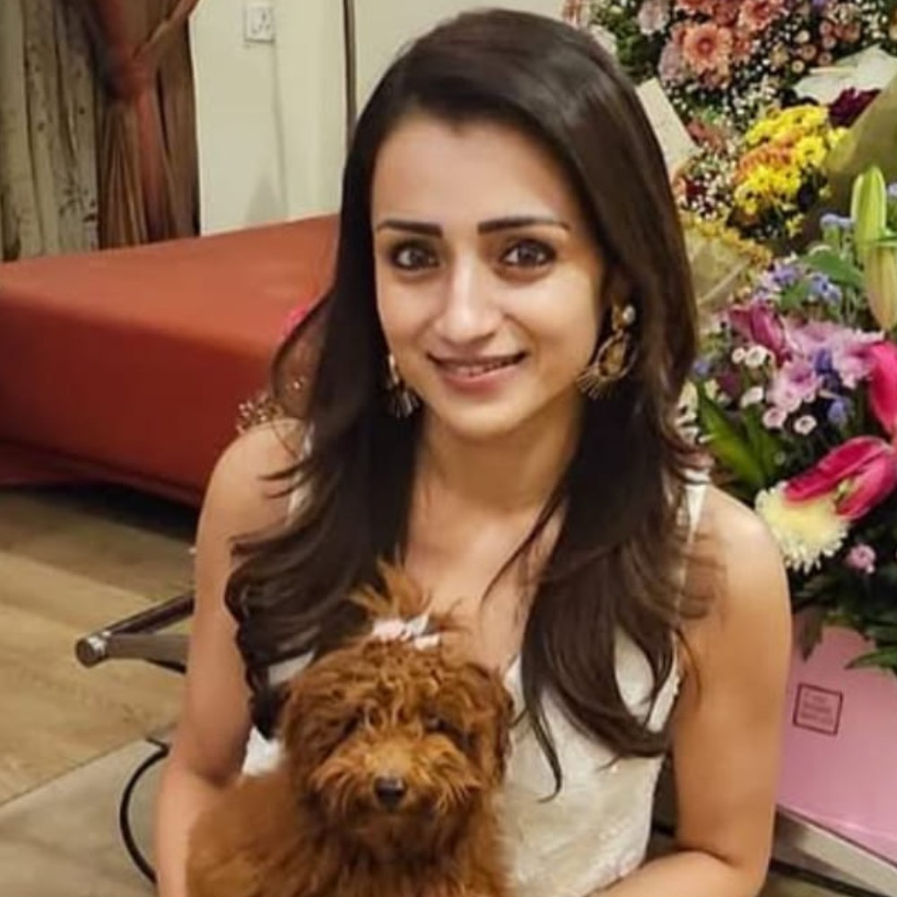 Trisha Krishnan makes special photo dump celebrating her birthday, actress writes ‘Couldn’t ask for more’