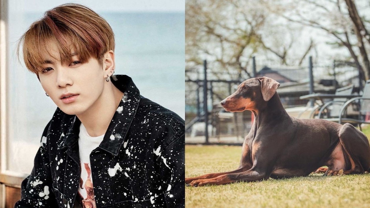 Jungkook, Bam: Credits BTS X, bowwow_bam Instagram Jungkook, Bam: Credits BTS X, bowwow_bam Instagram