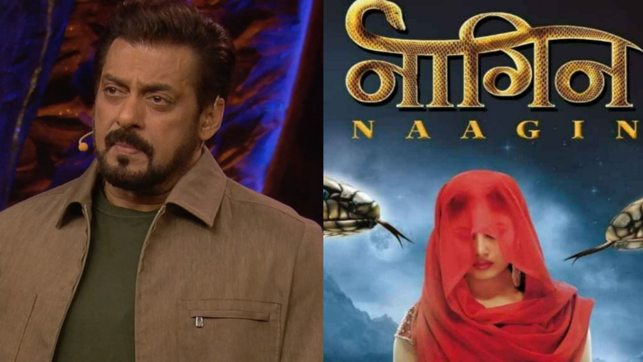 Pic Credit: Colors TV Bigg Boss 19 or Naagin 7