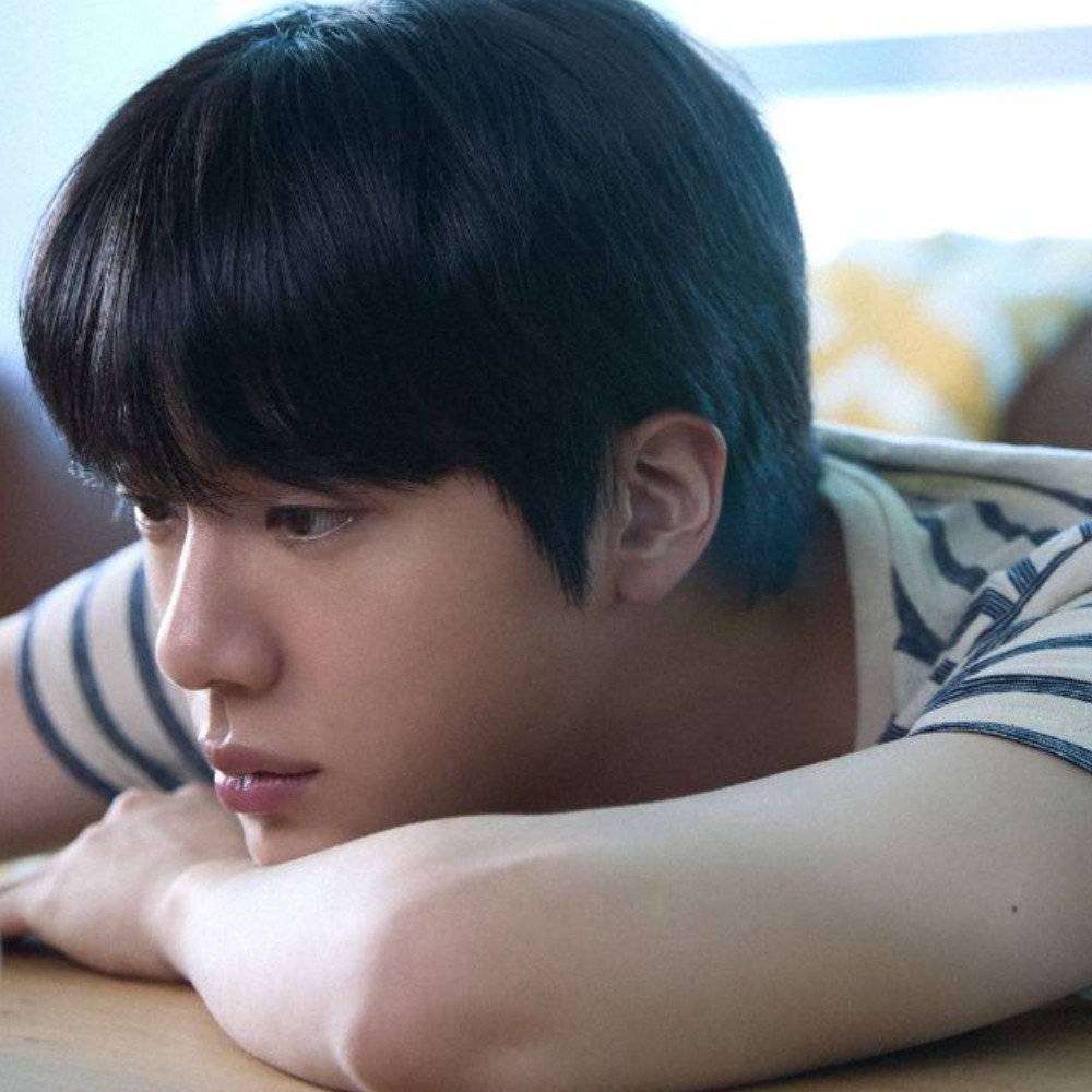 Don't Say You Love Me: Who is BTS' Jin's female lead in Echo title track release? Singer to romance THIS actress