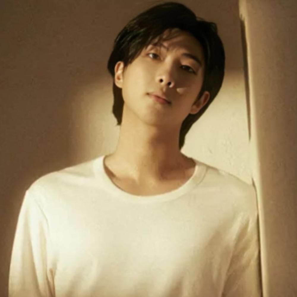What is BTS' RM referring to in Stop The Rain with '27 club lyrics? Exploring sad meaning in Epik High's Tablo collab track