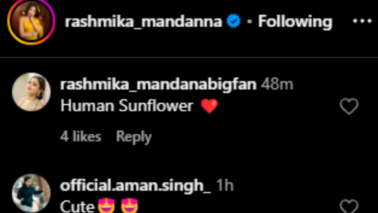Fans react to Rashmika's post (PC: Rashmika Mandanna, IG)