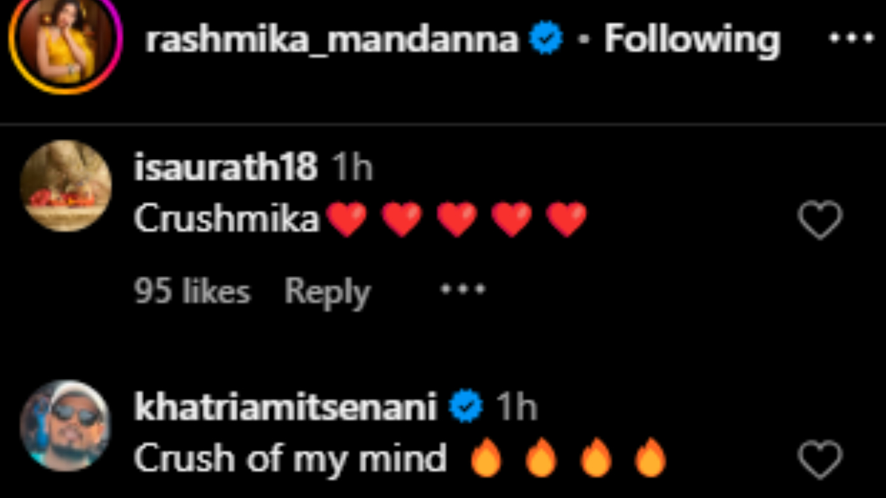 Fans react to Rashmika's post (PC: Rashmika Mandanna, IG)