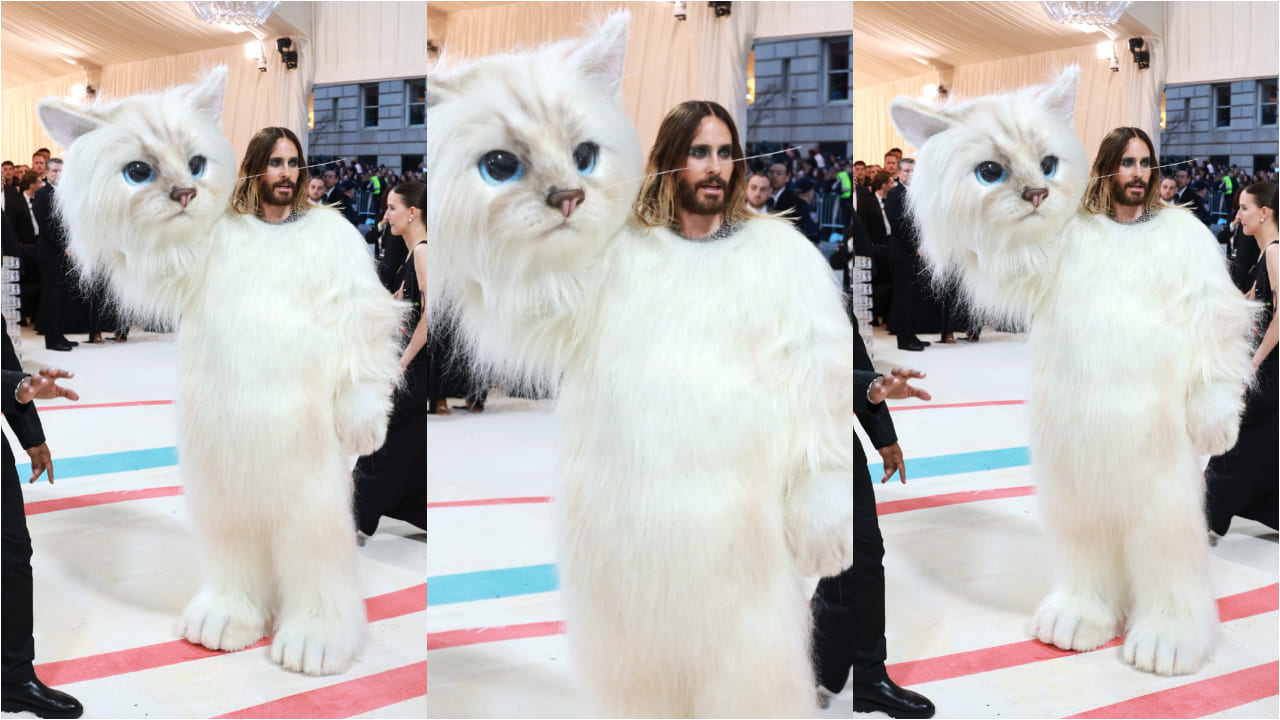5 weirdest Met Gala looks we have ever witnessed