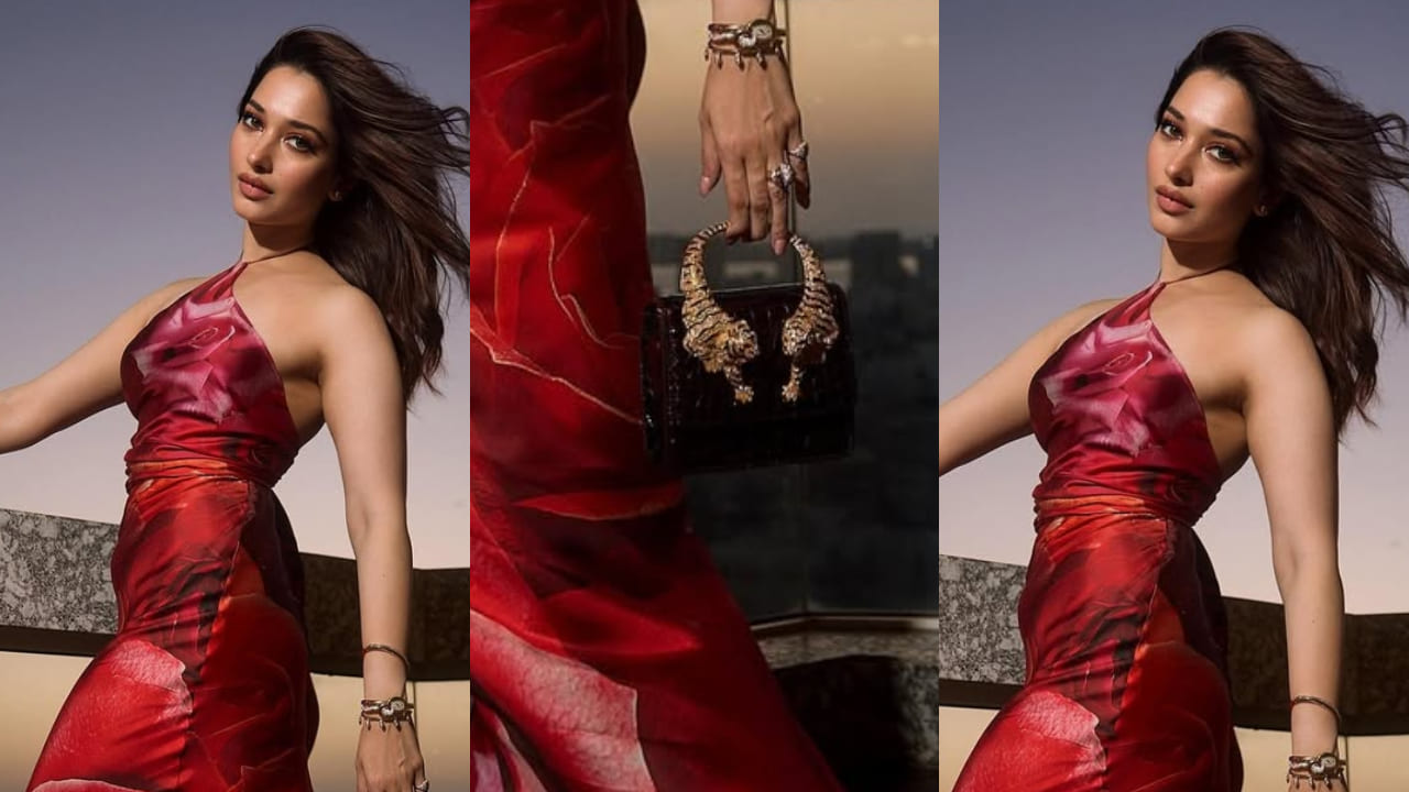 Tamannaah Bhatia breaks away from usual, pairs Rs 3,13,412 Medium Roar bag with hot rose print dress 
