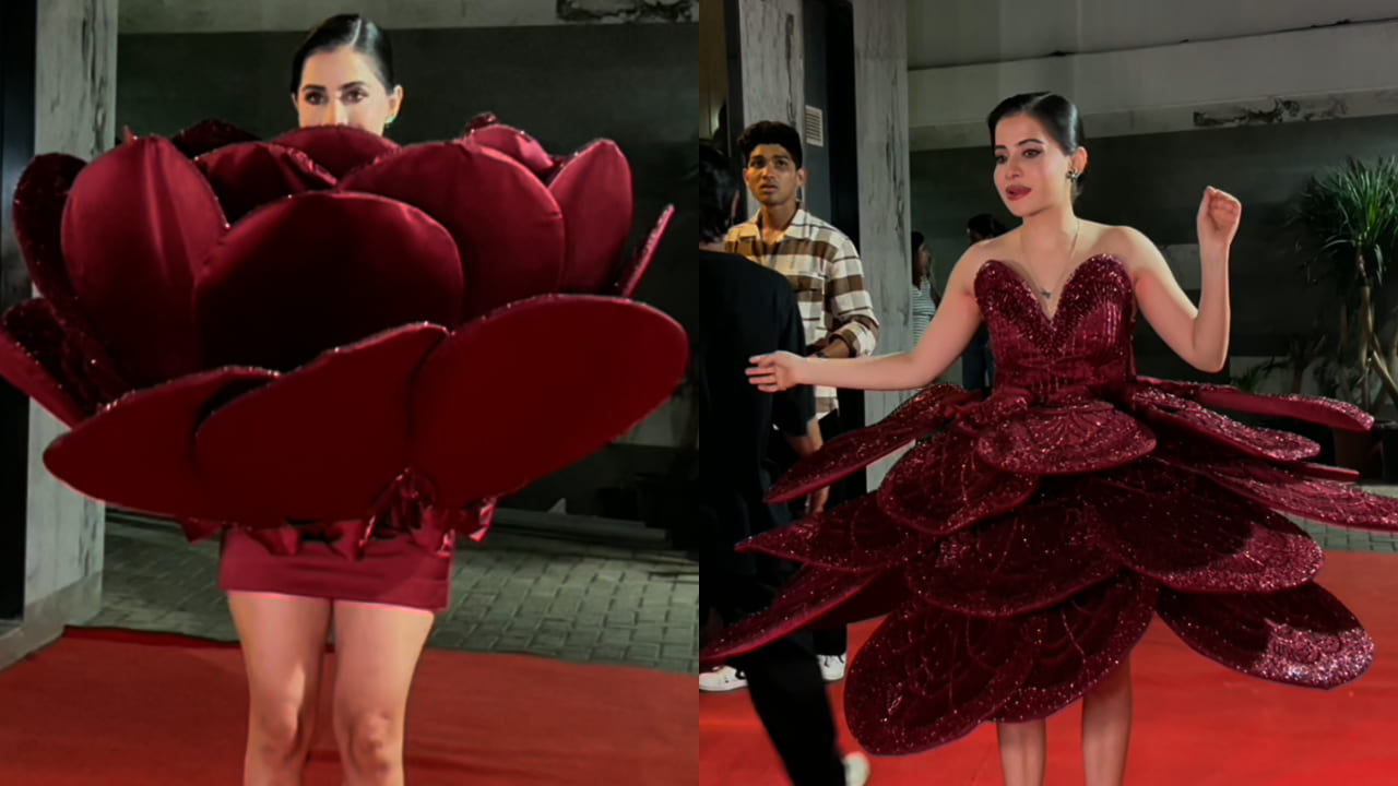 Uorfi Javed reveals her rose mini-dress after visa denial for Cannes Film Festival 2025 and it has a twist