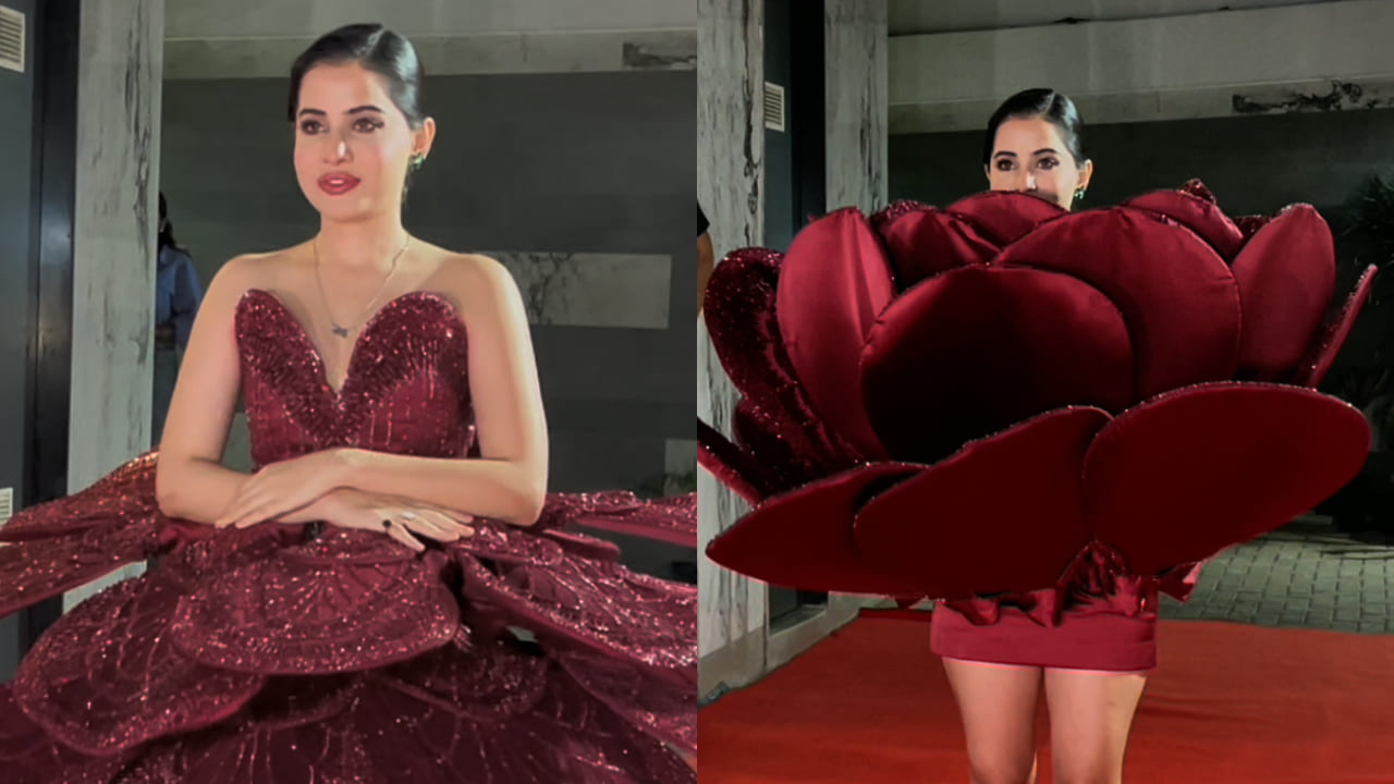 Uorfi Javed reveals her rose mini-dress after visa denial for Cannes Film Festival 2025 and it has a twist