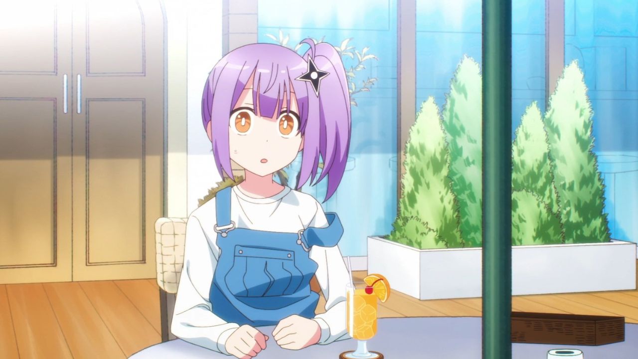 A Ninja And An Assassin Under One Roof [HundredBurger, Studio Shaft, Crunchyroll]