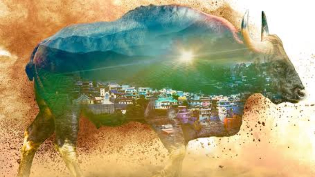 Nilgiris - A Shared Wilderness