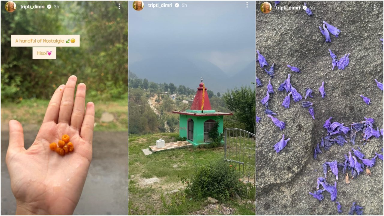 Pic Courtesy: Triptii Dimri Instagram