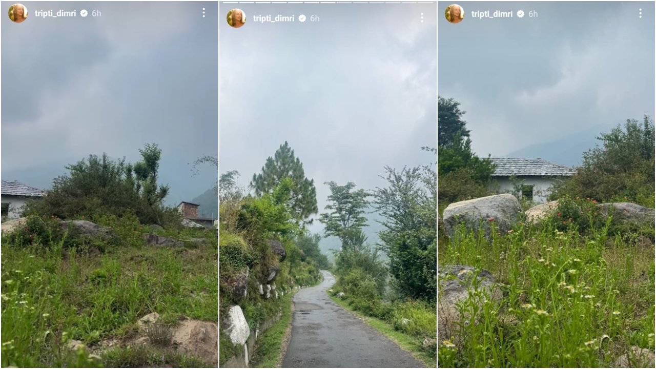 Pic Courtesy: Triptii Dimri Instagram