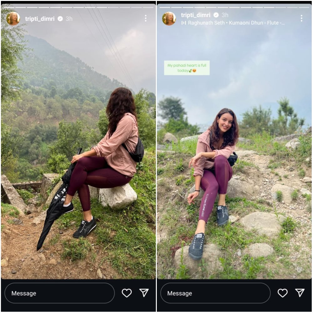 Pic Courtesy: Triptii Dimri Instagram