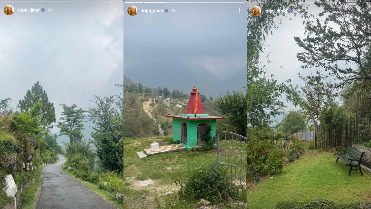 Picture Credit: Triptii Dimri Instagram