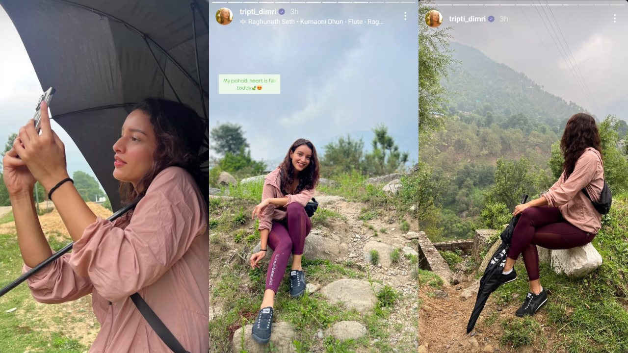 Picture Credit: Triptii Dimri Instagram