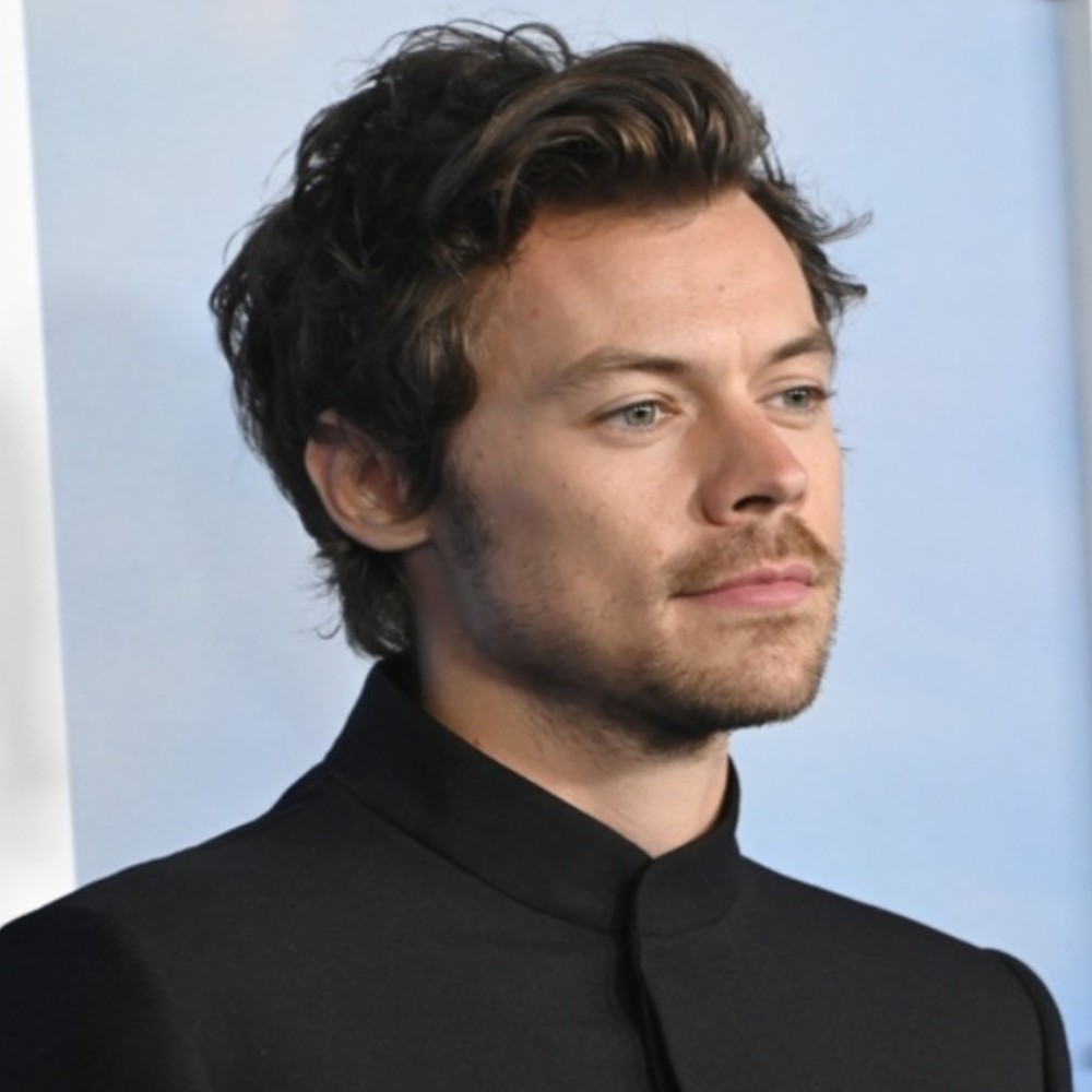 What's Harry Styles Doing Instead of Releasing New Album? Grammy-Winning Singer's Conclave Side Quest Amuses Fans